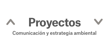 Logotipo Proyectos