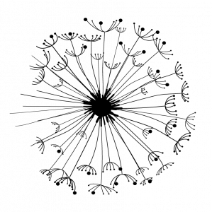 DENTS DE LLEÓ-02-02