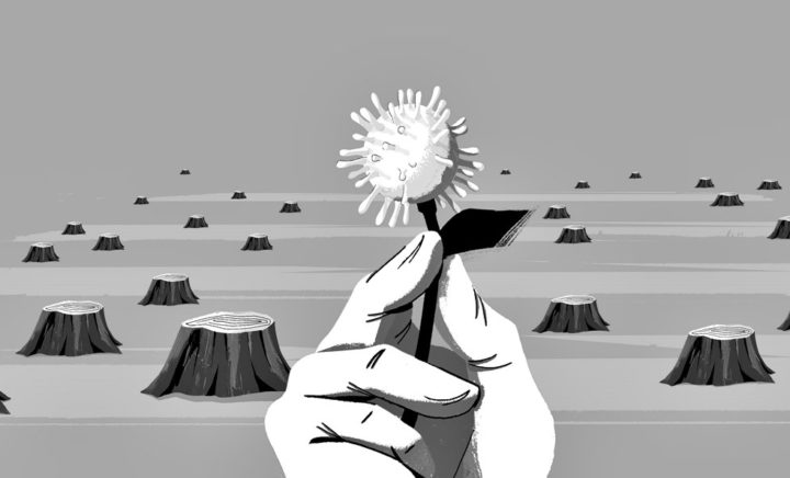 Coronavirus sostenibilidad