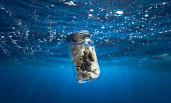 Entrevista Greenpeace Plàstics